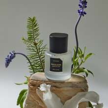 Load image into Gallery viewer, Raconteur Frigiliana Hair Mist 30ml